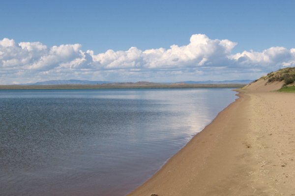 Кракен почему не заходит